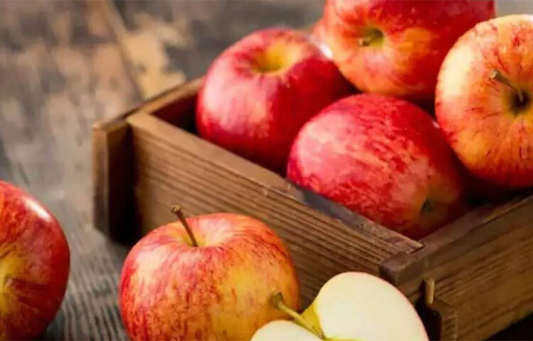 আপেলের পলিফেনল অ্যান্টিক্যানসার হিসেবে কার্যকর। তাছাড়া উদ্ভিজ্জ যৌগ পলিফেনল হৃদরোগ ও অন্যান্য সংক্রমণ প্রতিরোধ করে। ছবি: সংগৃহীত