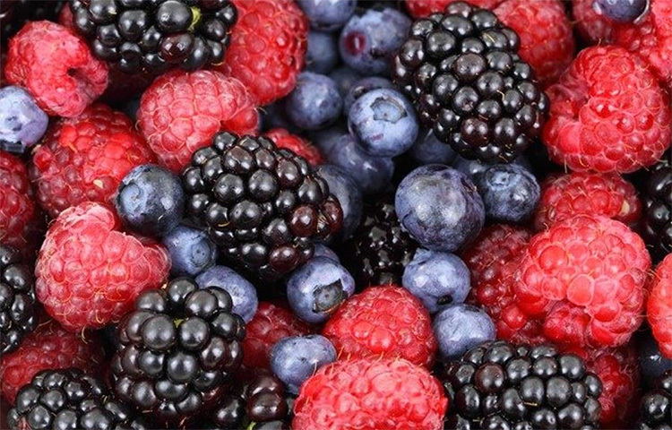 ত্বকের পক্ষে অ্যান্টি অক্সিড্যান্ট খুবই উপকারী। তাই অ্যান্টি অক্সিড্যান্ট সমৃদ্ধ খাবার খান। যেমন স্ট্রবেরি, ব্লাকবেরি এই ফলগুলো খেলে ত্বক সুন্দর থাকবে। ছবি: সংগৃহীত