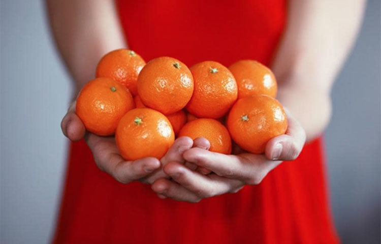 কারণ সূর্যের তাপ শরীরের ভিটামিন শুষে নেয়। এই ভিটামিন পূরণ করতে লেবুর শরবত খুবই উপকারি। তাছাড়া প্রচণ্ড গরমে এ শরবত শরীরকে সহজেই ঠান্ডা করে।