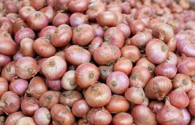 পেঁয়াজ: এটিও পৃথিবীর প্রায় সব দেশেই মসলা হিসেবে ব্যবহার করা হয়। তবে এটি কাঁচা খেলে কাঁচা খেলে ফুঁসফুস ক্যানসার, প্রস্টেট ক্যানসার থেকে বাঁচা যায়।