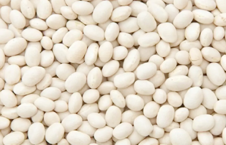 সাদা রঙের যেকোনো বিনসে আছে ক্যালসিয়াম। ডিটক্সিফাইং উপাদান হিসেবে বিনস গুরুত্বপূর্ণ। তাছাড়া বিনসের 
গ্লাইসেমিক ইনডেক্সও কম। ছবি: সংগৃহীত
