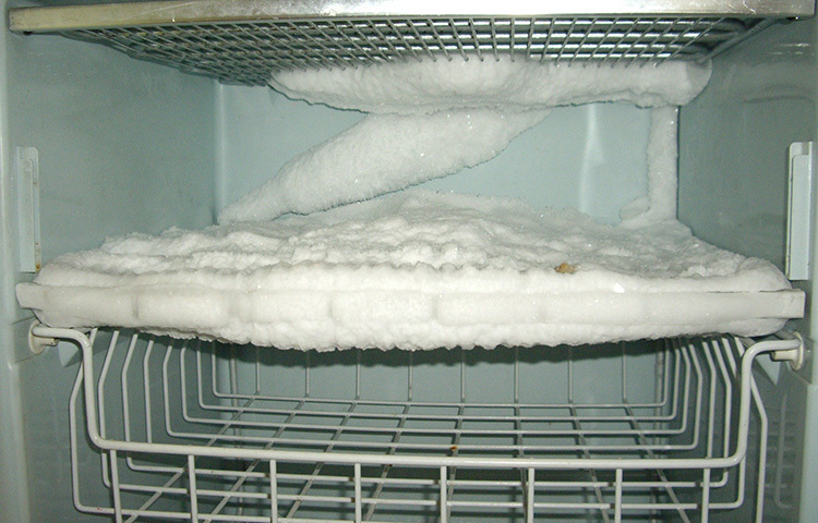 থার্মোস্টেট যদি সঠিক তাপমাত্রায় অর্থাৎ শূন্য ডিগ্রি ফারেনহাইটে না থাকে, তাহলে অতিরিক্ত বরফ জমা হতে পারে ফ্রিজে। তাই প্রতি সপ্তাহে একবার থার্মোস্টেট পরীক্ষা করতে হবে। ফ্রিজে যদি থার্মোমিটার না থাকলে, তা স্থাপন করা জরুরি। ছবি: সংগৃহীত