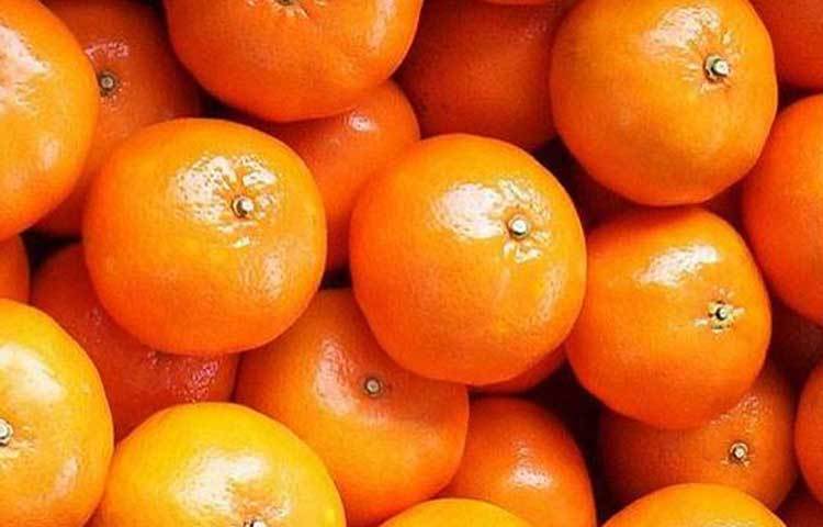 কমলা আমাদের হাতের নাগালে খুব সহজেই পাওয়া যায়। বিশেষ করে শীতকালে এটি প্রচুর পরিমাণে কমলা বাজারে দেখা যায়।