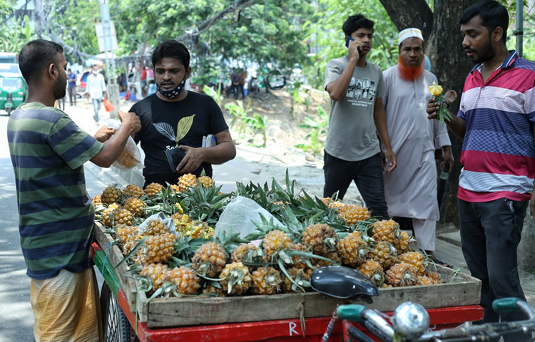 আনারস সারাবছর কমবেশি পাওয়া গেলেও এখন প্রচুর আনারস মিলছে বাজারে। ছবি: মাহবুব আলম