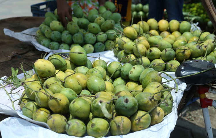 রাজশাহীর আম ছাড়াও দেশের বিভিন্ন জেলার আম পাওয়া যাচ্ছে রাজধানীর বাজারে। ছবি: মাহবুব আলম