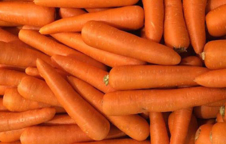 ফ্রি র‌্যাডিক্যালস অনেক সময় শরীরে ক্যানসারের কোষ তৈরি করে। এই ফ্রি র‌্যাডিক্যালসের সঙ্গে লড়াই করতে প্রয়োজন হয় অ্যান্টিঅক্সিড্যান্টের। গাজরে কেরাটিনয়েডস নামের অ্যান্টিঅক্সিড্যান্ট আছে যা ফ্রি র‌্যাডিক্যালসের বিরুদ্ধে লড়াই করে এবং শরীর থেকে এই জাতীয় কোষ সরিয়ে দেয়। ফ্রি র‌্যাডিক্যালস অনেক সময় শরীরে ক্যানসারের কোষ তৈরি করে।