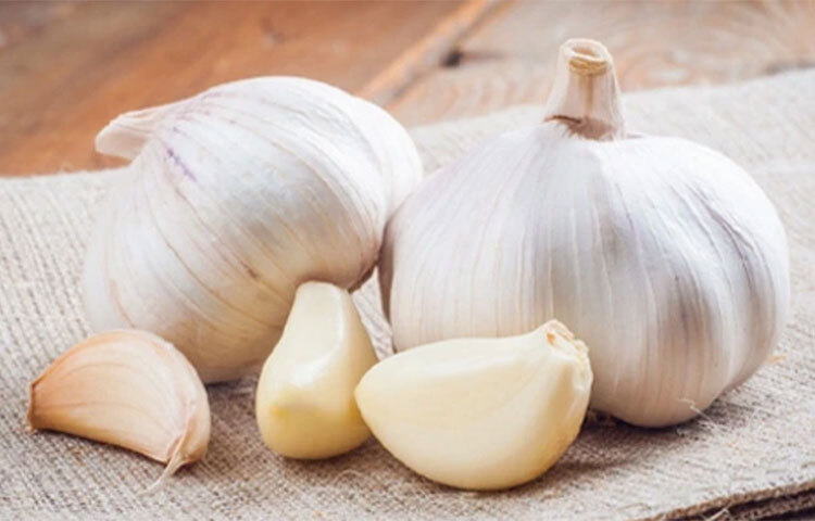 এশিয়া, আফ্রিকা, আমেরিকা ও ইউরোপে বিভিন্ন ধরনের রসুন ব্যবহার করা হয়। বাজারে সাধারণত যে রঙের রসুন পাওয়া যায় তা ছাড়াও আরও তিনটি রঙের রসুন দেখা যায়। ছবি: সংগৃহীত