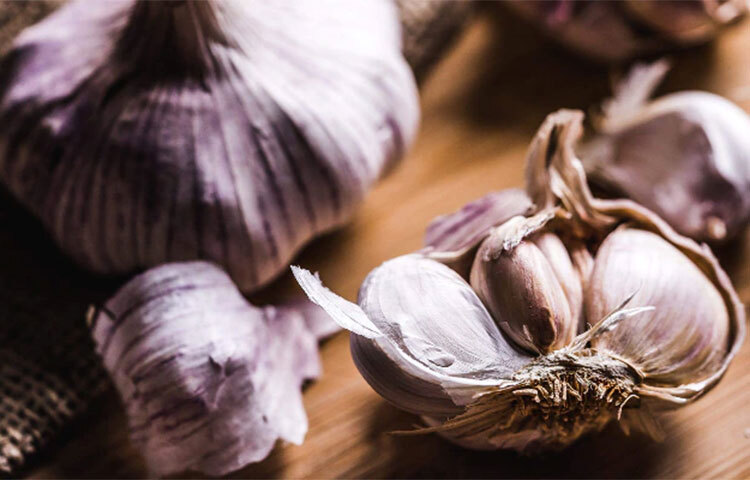 বেগুনি রঙের রসুন: বেগুনি রঙের রসুনকে এক দেখায় অনেকে পিঁয়াজও ভাবতে পারেন। এই ধরনের রসুন খেতে বেশি সুস্বাদু। এছাড়াও সাধারণ রসুনের থেকে বেগুনি রসুনের আকারও বড় হয়। যদিও বাইরের বেগুনি রঙের খোসা থাকলেও, ভিতরে সাদা রঙের কোয়াই থাকে। ছবি: সংগৃহীত