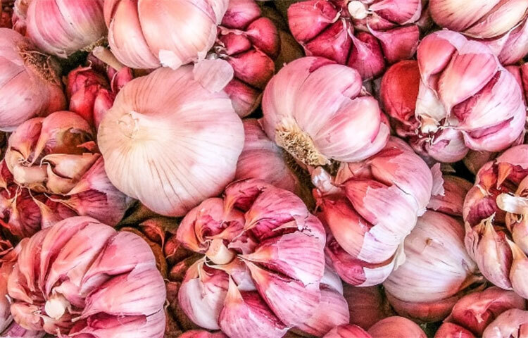 গোলাপি রঙের রং: গোলাপি রঙের রসুন সাধারণ রসুনের থেকে বেশ ছোট হয়। এই রঙের রসুনে খুব বেশি হলে ১০টি কোয়া থাকে। গোলাপি রঙের রসুন স্বাদে মিষ্টি হলেও, এর ঝাঁজ সবচেয়ে বেশি। এ কারণেই এটি হট অ্যান্ড সুইট গার্লিক নামেও পরিচিত। এই রসুন যে কোনো তরকারিতে যেমন স্বাদ বাড়িয়ে দিতে পারে, তেমনই স্বাস্থ্যগুণেও ভরিয়ে দেয়, কারণ এতে ভিটামিন এ, বি, সি, কপার, ম্যাগনেসিয়াম, ক্যালসিয়াম, পটাসিয়াম, আয়রন ও জিংকের পাশাপাশি আরও অনেক খনিজ আছে। ছবি: সংগৃহীত