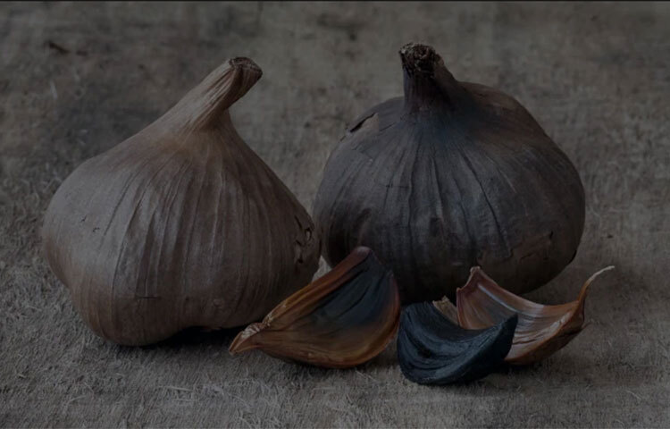 কালো রঙের রসুন: কালো রঙের রসুনকে এক দেখায় পচে যাওয়া রসুন মনে হতে পারে। কিন্তু তা একেবারেই নয়, বরং সাধারণ সাদা রঙের রসুনের থেকে এই রসুনের স্বাস্থ্যগুণ অনেক বেশি। খাবারের স্বাদ বাড়ানোর পাশাপাশি আয়ুর্বেদিক ওষুধেও এই রসুনের ব্যবহার করা হয়। তবে, কালো রঙের রসুন সরাসরি খেতে চাষ করা হয় না, বরং তৈরি করা হয়। সাধারণ রসুনকে একটি নির্দিষ্ট তাপমাত্রায় ও আদ্রতায় কিছু সপ্তাহ অথবা মাস ফেলে রাখা হলে, তা কালো রঙের রসুনে পরিণত হয়। ছবি: সংগৃহীত