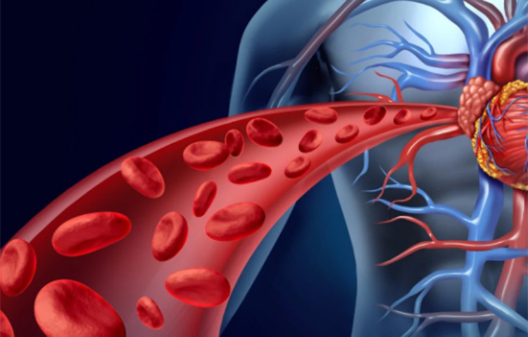 ঝিঙে রক্তকে দূষণ থেকে রক্ষা করে। লিভারের জন্যও উপকারী। ঝিঙের রস খেলে লিভারের কর্মক্ষমতা বাড়ে। বিশেষ করে লিভারে অ্যালকোহলের ক্ষতিকর প্রভাব দূর করে। জন্ডিসের রোগির আদর্শ খাবারও ঝিঙে। ছবি: সংগৃহীত