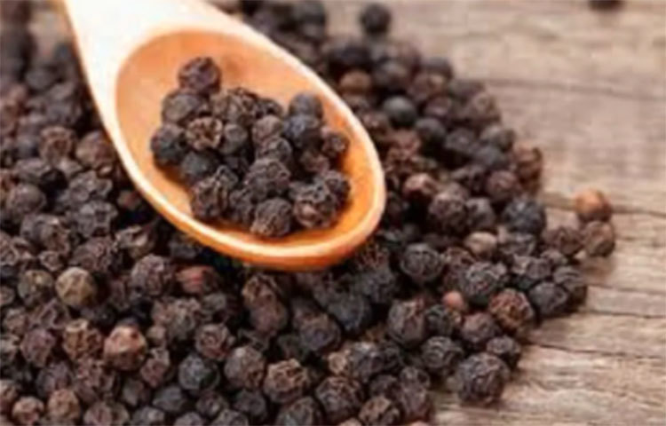 দাঁতের ব্যাথা বা সুগারের কষ্ট। গোল মরিচ প্রতিটি ক্ষেত্রেই এক অব্যর্থ ওষুধ।