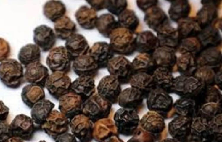 ক্যান্সারের ওষুধ প্রস্তুতে গোল মরিচের বিরাট গুণাগুণ রয়েছে। কেমো প্রস্তুতে গোল মরিচের প্রয়োজন হয়।