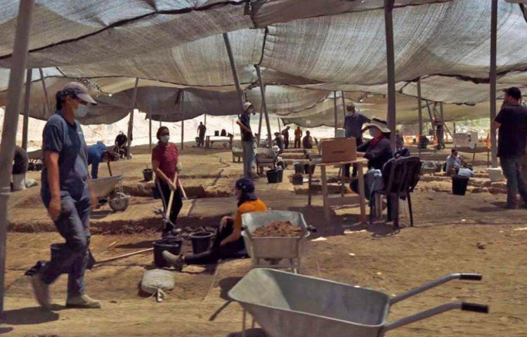 খনন কাজ চলার সময় অগস্টের মাঝামাঝি সময়ে কোহেন মাটির নিচে হলুদ রঙের কিছু একটা লক্ষ্য করেন। প্রথমে তিনি ভেবেছিলেন, গাছের পাতা।