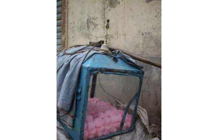 আহারে কী মজার হাওয়াই মিঠাই।