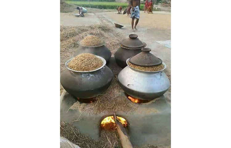 ধান সিদ্ধ করা হচ্ছে।