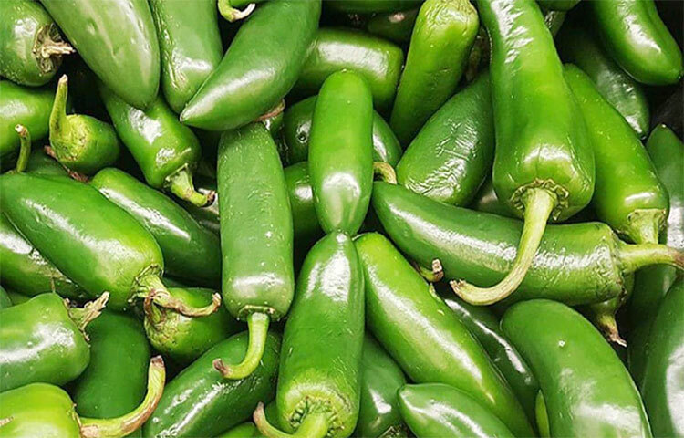 ক্যান্সার দূরে রাখে: কাঁচামরিচে রয়েছে প্রচুর অ্যান্টিঅক্সিডেন্ট, যা শরীরে জমে থাকা ক্ষতিকর টক্সিক উপাদান বের করে দেয়। ফলে স্বাভাবিকভাবেই ক্যান্সার সেল জন্ম নেয়ার আশঙ্কা প্রায় থাকে না বললেই চলে। ছবি: সংগৃহীত