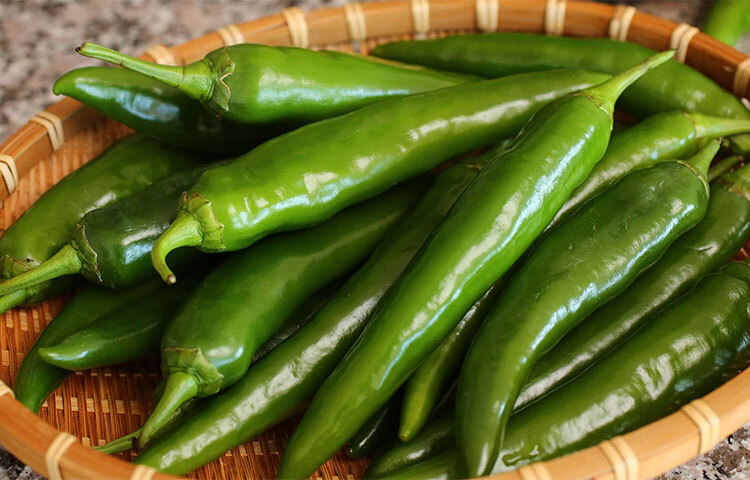 ডায়াবেটিস দূরে থাকে: কাঁচামরিচে বিভিন্ন উপকারী উপাদান রক্তে শর্করার মাত্রাকে নিয়ন্ত্রণে রাখতে বিশেষ ভূমিকা পালন করে। ফলে স্বাভাবিকভাবেই ডায়াবেটিসের মতো রোগ হওয়ার সম্ভাবনা থাকে না। ছবি: সংগৃহীত