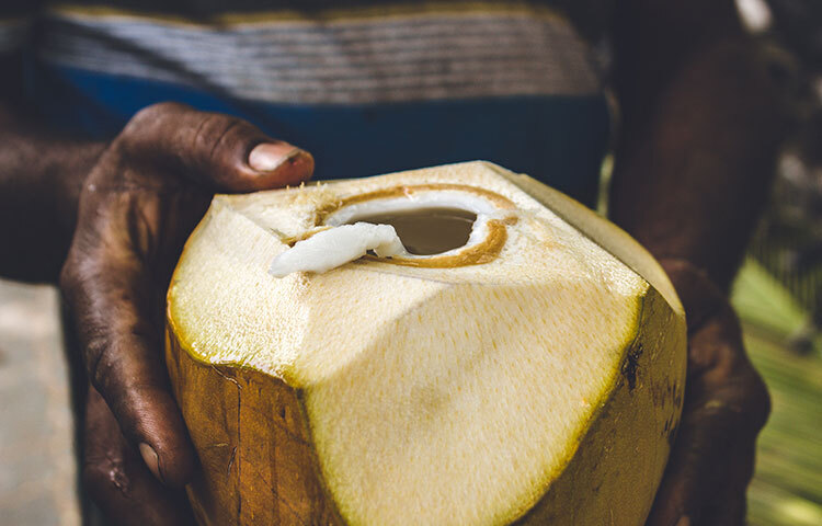 ডাবের পানি ডিটক্সিংয়ে সাহায্য করে। ছবি: সংগৃহীত