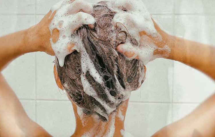 সপ্তাহে ৩ থেকে ৪ দিন শ্যাম্পু করেন। খুব একটা ভুল সিদ্ধান্ত নয়। কিন্তু তারপরও জেনে নিন চুলের রূপ ভেদে শ্যাম্পুর প্রয়োজনীয়তা। ছবি: সংগৃহীত