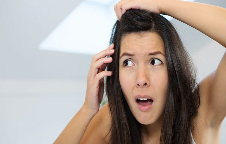 পাকা চুল তুললে আরও বেশি চুল পাকে। এমন কথা আমাদের প্রায় সকলেরই শোনা। কিন্তু চিকিৎসকরা তেমনটা বলছেন না। তাদের মতে এটা পুরোই মিথ বা ধারণা। তবে সেই আনন্দে যত খুশি পাকা চুল তোলাও যাবে না বলে মত বিশেষজ্ঞদের। ছবি: সংগৃহীত