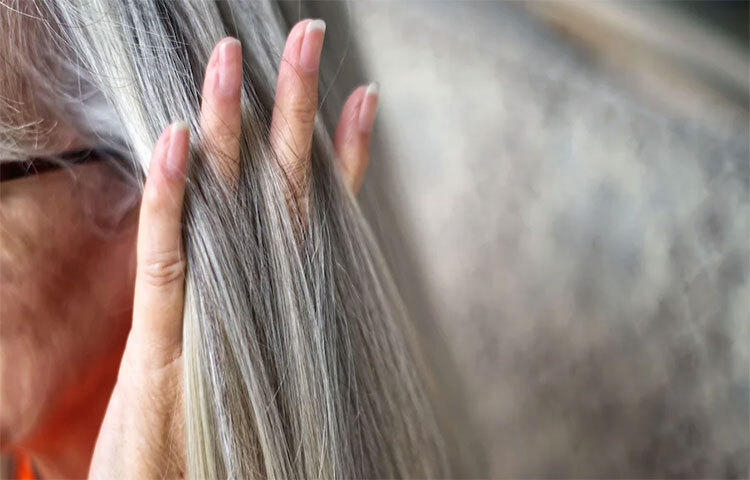 চিকিৎসকরা জানিয়েছেন, চুলের বৃদ্ধির প্যাটার্ন বদলে যায়। ফলে নতুন গজানো চুল আগের থেকে রুক্ষ হতে পারে। অনেক ক্ষেত্রে নতুন চুল নাও গজাতে পারে। সেই কারণেই পাকা চুল তুলতে বারণ করা হয়। ছবি: সংগৃহীত