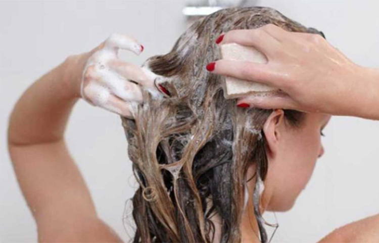 যদি আপনার চুল শুষ্ক বা রুক্ষ তাহলেও ৫ থেকে ৭ দিন অন্তর চুলে শ্যাম্পু করতে পারেন। যদি দেখেন বেশি রুক্ষ হয়ে যাচ্ছে এতে তাহলে যথাযথভাবে তেল মালিশ করার প্রয়োজনীয়তা রয়েছে। নারকেল তেলের সঙ্গে রসুন গরম করে সেই তেল মাখতে পারেন। অথবা অ্যালোভেরা চুলে মাখতে পারেন। এতে আপনার চুলে ফিরবে প্রাকৃতিক পুষ্টি। বেশি রাসায়নিক শ্যাম্পু ব্যবহার করা একেবারেই উচিত নয়। ছবি: সংগৃহীত