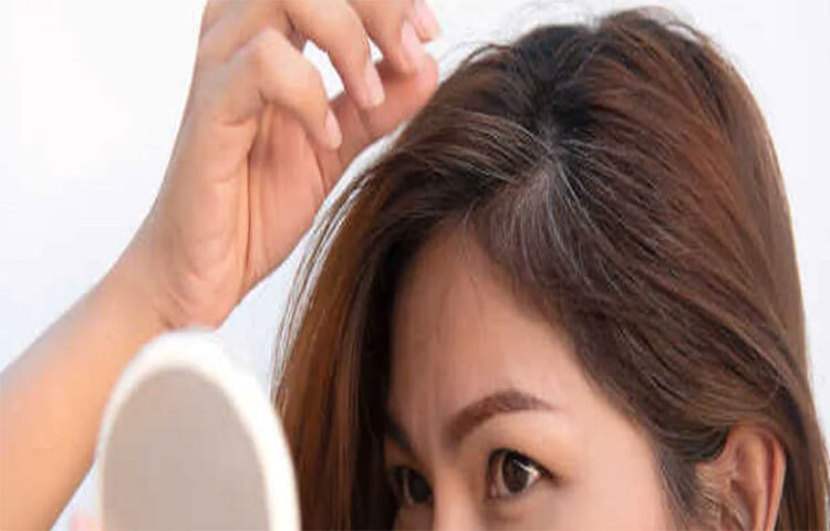 পাকা চুল তুলে ফেললে অনেক ক্ষেত্রে নতুন চুল নাও গজাতে পারে। সেই কারণেই পাকা চুল তুলতে বারণ করা হয়। ছবি: সংগৃহীত