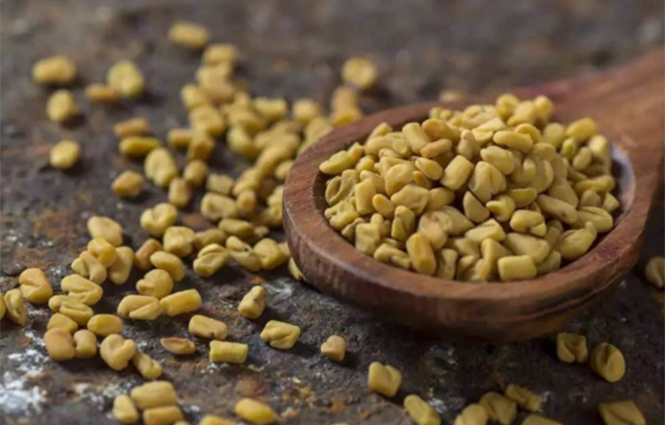 মেথির দানায় আছে ফলিক অ্যাসিড, ভিটামিন এ, ভিটমিন কে, ভিটামিন সি, পটাশিয়াম, ক্যালসিয়াম ও আয়রন। তাছাড়া মেথিতে আছে প্রোটিনও। এই সব উপাদানই চুলের জন্য বেশ উপকারী। রাতভর ভিজিয়ে রাখুন এক চামচ মেথিদানা। সকালে উঠে পান করুন ওই মিশ্রণ। বজায় থাকবে চুলের উজ্জ্বলতা। ছবি: সংগৃহীত