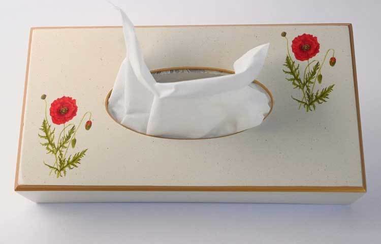 বক্সড টিস্যু: টিস্যু খুব জরুরি একটি জিনিস। এর বিভিন্নরকম ব্যবহার রয়েছে। বাড়ির প্রতিটি ঘরে টিস্যু রাখুন। যাতে কাশি বা হাঁচির সময় হাত বাড়ালেই টিস্যু পাওয়া যায়। এবং ব্যবহারের পর টিস্যু ঢাকনাযুক্ত ডাস্টবিনে ফেলুন।