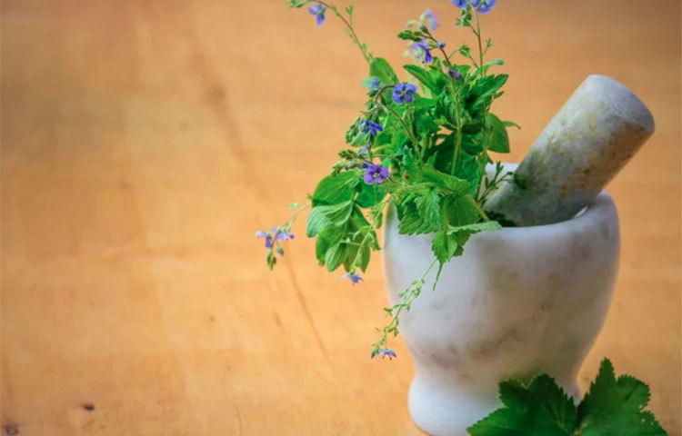 রোগ প্রতিরোধ ক্ষমতা বাড়ানোর জন্য বেশ কয়েক দফা টিপস দিয়েছে কেন্দ্র। আয়ুবের্দিক শাস্ত্র জানাচ্ছে, রোগ প্রতিরোধের জন্য আয়ুর্বেদ কার্যকর হতে পারে। জানুন সে সম্পর্কে।