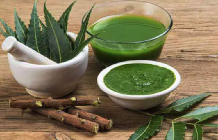 নিম: ব্যাকটেরিয়া ধ্বংস করে নানা দিক থেকে আমাদের সুরক্ষিত রাখে নিম। রক্ত পরিষ্কার রাখতে এবং আলসারের চিকিৎসাতেও নিম উপযোগী।