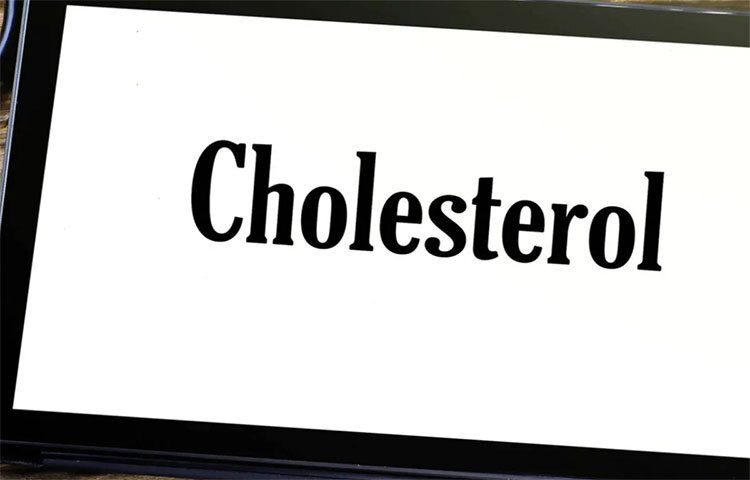 ফ্যামিলিয়াল হাইপারকোলেস্টেরোলেমিয়ার শিকার হলে অল্প বয়স থেকে শরীরে খারাপ কোলেস্টেরলের মাত্রা বাড়তে থাকে। হৃদরোগের বড় কারণ খারাপ কোলেস্টেরলের মাত্রা বৃদ্ধি পাওয়া। ছবি: সংগৃহীত