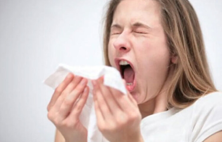 ঋতু বদলের সময় ঘন ঘন নাক টানা, হাঁচি-কাশি লেগেই থাকে। তা হলে আপনি অনেকটা নিশ্চিন্ত থাকতেই পারেন। কোভিড ১৯ সংক্রমণের সম্ভাবনা আপনার অনেকটাই কম। এমনই বলছে সাম্প্রতিক গবেষণা। তার কারণ, আপনার শরীরে ইতিমধ্যে করোনাভাইরাসের অ্যান্টিবডি তৈরি হয়ে আছে, যা নতুন ভাইরাসের সঙ্গে লড়ে শরীরকে দুর্বল হয়ে যাওয়া থেকে আটকায়।