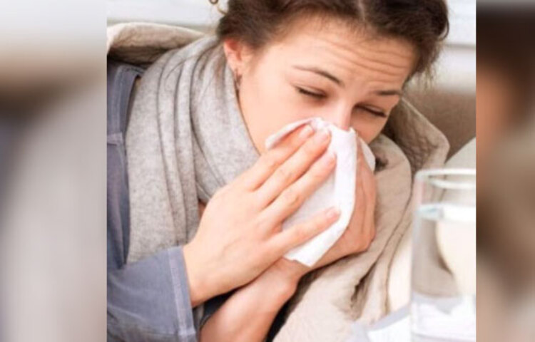 এদের হাসপাতালে ভর্তি হতে হলেও ইনটেনসিভ কেয়ার ইউনিটের প্রয়োজন হচ্ছে কম। এমনকি কৃত্রিম ভেন্টিলেশনের প্রয়োজনও তুলনামূলক ভাবে কম হচ্ছে। মানে, এবার নতুন করে কোভিড ১৯ ভাইরাস শরীরে এলে তার সঙ্গে লড়াই করার ক্ষমতা রয়েছে শরীরের অ্যান্টিবডির। জার্নাল অফ ক্লিনিকাল ইনভেস্টিগেশন-এ প্রকাশিত হয়েছে এই গবেষণা।