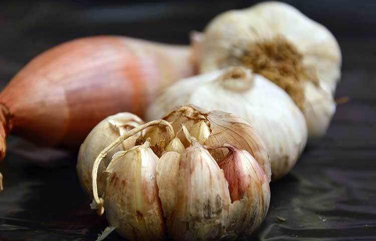 রসুনে থাকে অ্যালিসিন রিঅ্যাকটিভ যৌগ যা, যারা উচ্চ রক্তচাপ বা হাইপারটেনশনের শিকার, সেই সমস্ত রোগীরা সুফল পান। পাশাপাশি এই সমীক্ষায় আরও বলা হয়েছে যারা প্রতিদিন ৪৮০ থেকে ৯৬০ মিলিগ্রাম রসুন খান, তাদের রক্তচাপ অনেকটা নিয়ন্ত্রণে থাকে।