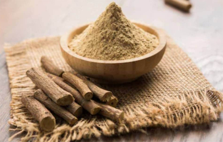 মুখে রাখুন এক টুকরো যষ্টিমধু। আপনার গলা শুকিয়ে যাওয়াসহ একাধিক সমস্যা দূর হবে। ছবি: সংগৃহীত