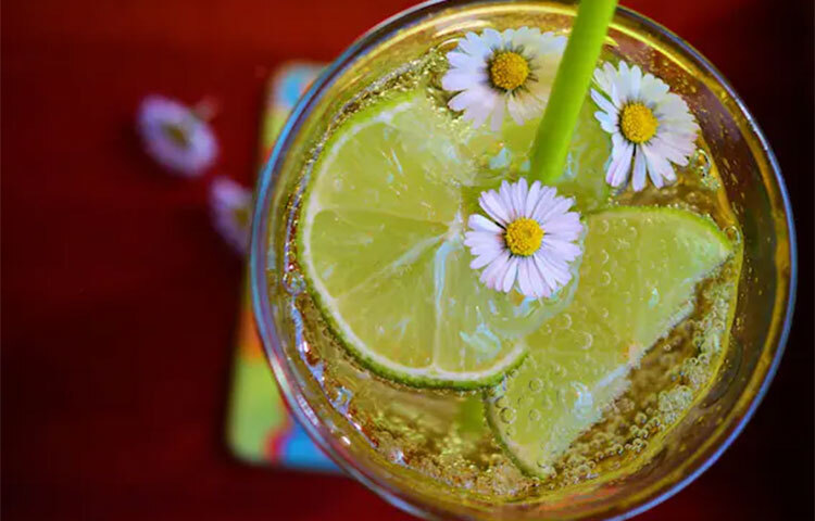 দই বা ইয়োগার্ট জাতীয় খাবার আপনার পাচনতন্ত্রের বহু সমস্যা দূর করতে। এগুলোতে ভালো ব্যাকটেরিয়া রয়েছে যা আপনার ডাইজেসটিভ ট্র্যাক্ট পরিষ্কার রাখে। ছবি: সংগৃহীত