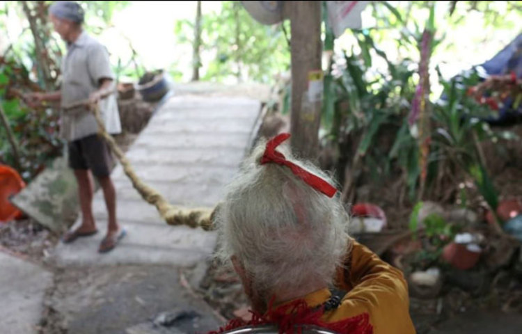 বর্তমানে এই সাড়ে ১৬ ফুট লম্বা জটার দৌলতে নেট দুনিয়ায় রীতিমতো ভাইরাল হয়ে উঠেছেন অশীতিপর এই বৃদ্ধ। তার বয়স এখন ৯২ বছর!