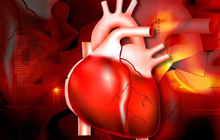 কার্ডিওমায়োপ্যাথি থাকলে হৃদযন্ত্রের আকারের উপরেও প্রভাব পড়ে এবং তার বøাড পাম্পের ক্ষমতার উপরেও প্রভাব পড়ে। এছাড়াও হৃদস্পন্দে অসমতার মতো হৃদযন্ত্রের সমস্যা পরিবারের কারো হয়ে থাকলে হৃদরোগে আক্রান্ত হওয়ার ঝুঁকি বাড়ে। করোনারি আর্টারি ডিজিজ পরিবারের কারো থাকলে আপনিও সেই জিন বহন করতে পারেন যার ফলে খারাপ কোলেস্টরেল তৈরি হওয়ার সম্ভাবনা থাকে। আগে থেকে সম্ভাবনার কথা যেমন আন্দাজ করা যায়, তেমনই আগে থেকে হৃদযন্ত্রকে সুস্থ রাখারও কিছু উপায় রয়েছে।