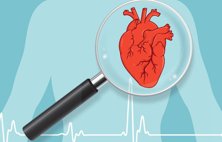 পরিবারে হার্টের অসুখের কী রেকর্ড রয়েছে সেটা জেনে নেয়া দরকার। আগে থেকে সাবধান হলেই সচেতনতা আসে দ্রুত। পরিবারে হার্টের অসুখের কী রেকর্ড রয়েছে সেটা জেনে নেয়া দরকার। আগে থেকে সাবধান হলেই সচেতনতা আসে দ্রুত।