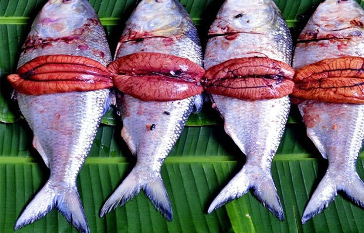 আমাদের দেশে প্রচলিত একটি ধারণা রয়েছে, নদী আর সাগরের ইলিশের মধ্যে স্বাদে অনেক পার্থক্য রয়েছে। যে ইলিশ আকারে যত বড়, তার স্বাদ ততই বেশি। আবার অনেকের মতে বর্ষাকালের ইলিশ বেশি সুস্বাদু হয়। ইলিশ বিশেষজ্ঞরা বলেন, ডিমপাড়ার আগ পর্যন্ত ইলিশের স্বাদ সবচেয়ে বেশি হয়। ছবি: সংগৃহীত