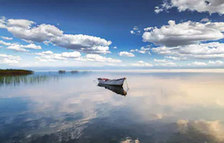 এই দৃশ্যটি নিয়ে চারদিকে আলোচনা হচ্ছে।