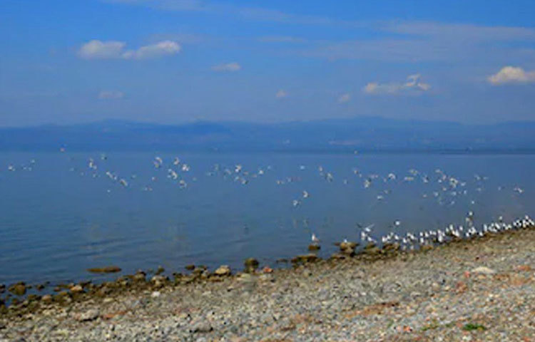 উত্তর পশ্চিম তুরস্কের বার্সা প্রদেশে ইজনিক হ্রদের স্ফটিক-জলের আড়াল থেকে অতীত কথা বলছে বর্তমানের সঙ্গে। ইজনিক হ্রদ জুড়ে আন্ডারওয়াটার আর্কিয়োলজিক্যাল সাইট গড়ে তোলার পরিকল্পনা নিয়েছে তুরস্ক।