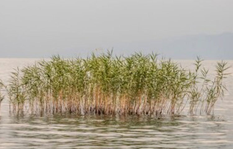 পুরাবিদ ও ইতিহাসবিদদের ধারণা, ৭৪০ খ্রিস্টাব্দে ভূমিকম্পের ফলে স্থাপত্যটি ব্যাপক ক্ষতিগ্রস্ত হয়। তার পর ধীরে ধীরে তাকে গ্রাস করে ইজনিক হ্রদের পানি।