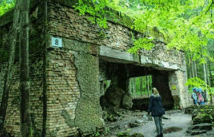 তার দাপটে এক সময় সারা বিশ্ব কাঁপত। জার্মানিতে তার বিরুদ্ধে কোনো কথা বললেই জুটত কঠোর শাস্তি। তার গুপ্তচররা নাকি প্রতিবেশী দেশ ও শত্রুপক্ষের সমস্ত গোপন খবর আনতে ছিল ওস্তাদ। অনেকেই তাকে দ্বিতীয় বিশ্বযুদ্ধের জন্য দায়ী করে থাকেন।