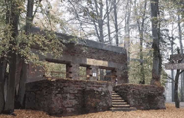 সম্প্রতি সেই ‘নেকড়ের ডেরা’ থেকে উদ্ধার হল হিটলারের ব্যবহৃত বেশ কিছু সামগ্রী। পোল্যান্ডে অবস্থিত এই নাৎসি হেডকোয়ার্টার্সের একটি বড় অংশে ১৯৪৪ সালের পর থেকে কারো পা পড়েনি।