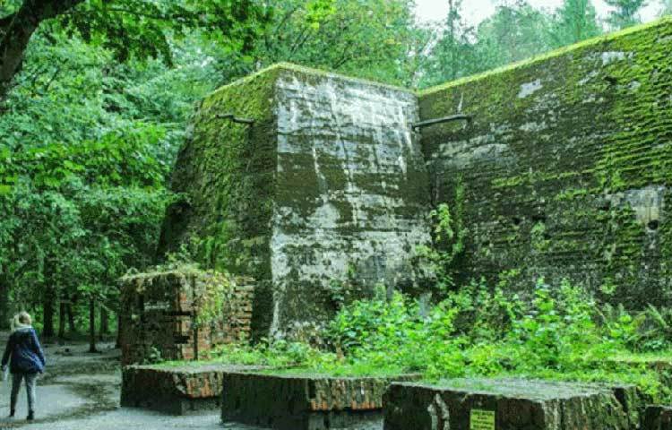 উদ্ধার হওয়া এই লাইটারসহ বেশির ভাগ সামগ্রীর একটি বিষয় একই ছিল। সব কিছুতেই কোনো না কোনো নাৎসি চিহ্ন দেওয়া রয়েছে।