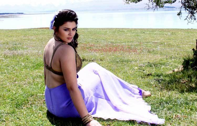 হনসিকা মোতওয়ানি: সদাহাস্য এই নায়িকা দক্ষিণী ছবিকে দিনদিন জনপ্রিয় করে তুলছেন।