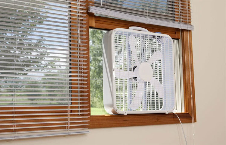 টেবিল ফ্যানটিকে জানালার দিকে মুখ করে চালিয়ে দিন। এতে ঘরের গরম বাতাস সহজে বেরিয়ে যেতে পারবে, আর ঘরকে রাখবে ঠান্ডা। ছবি: সংগৃহীত